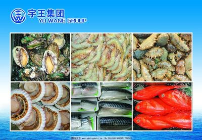 水產(chǎn)品 大海的饋贈(zèng)與人類的智慧