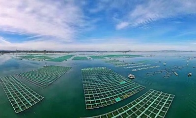 市海洋與漁業(yè)局:福建漳州多樣化海水養(yǎng)殖模式鍛造百億漁業(yè)